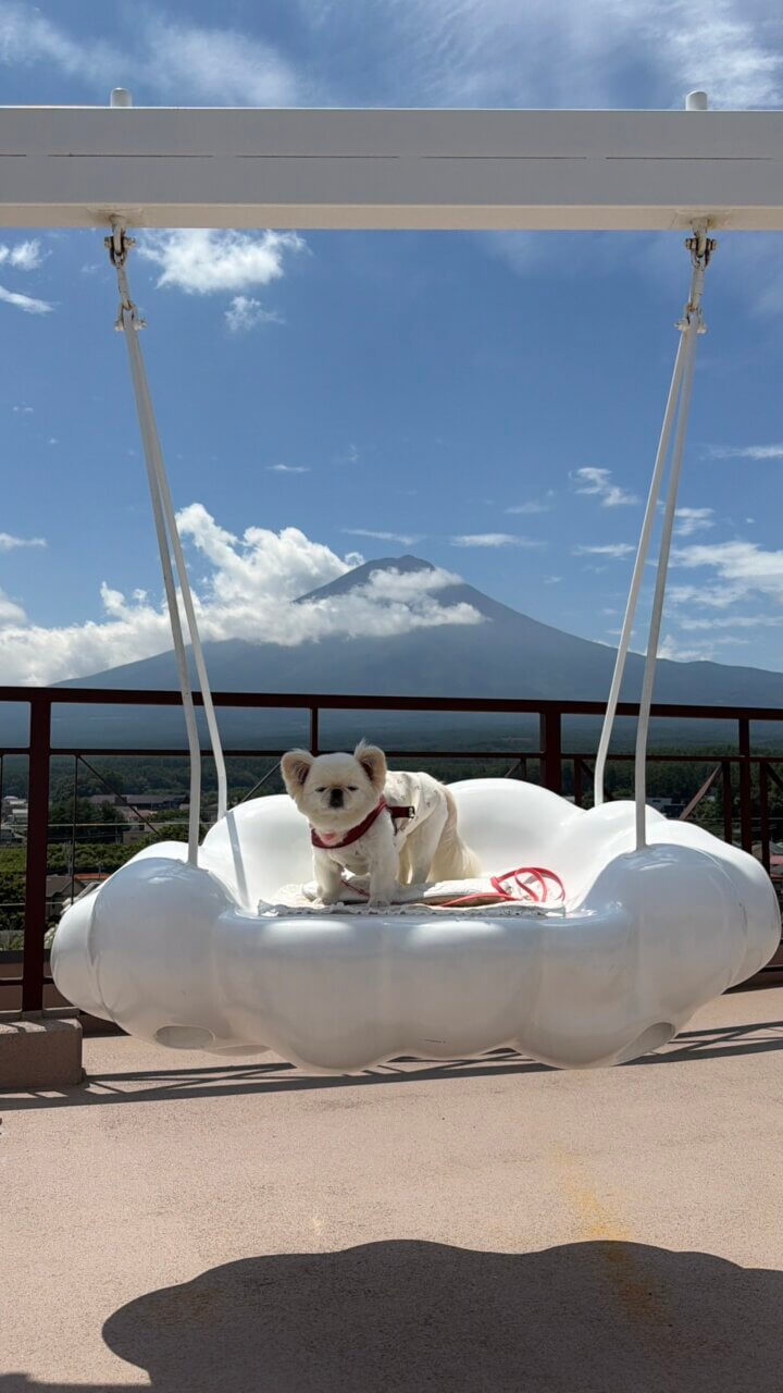 富士山