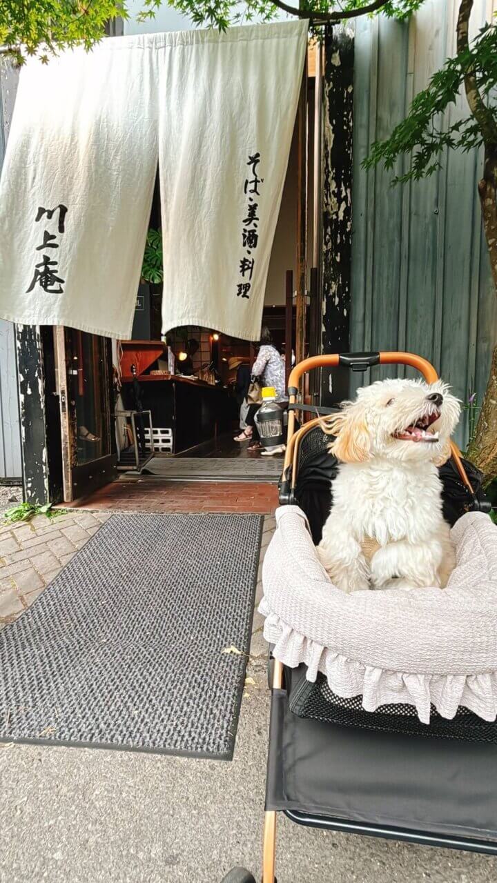 軽井沢 川上庵 本店