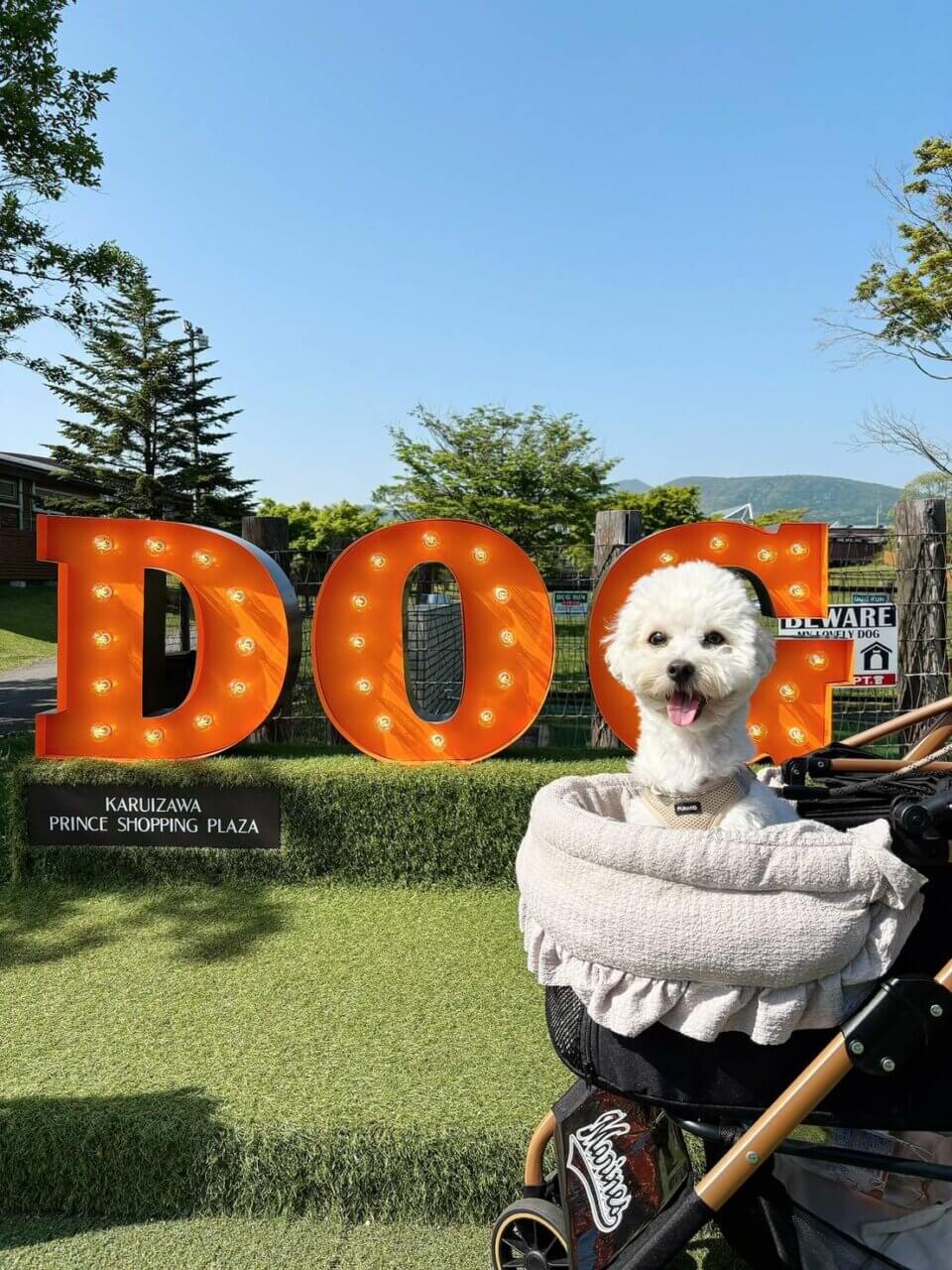 DOG DEPT.+ CAFE 軽井沢店
