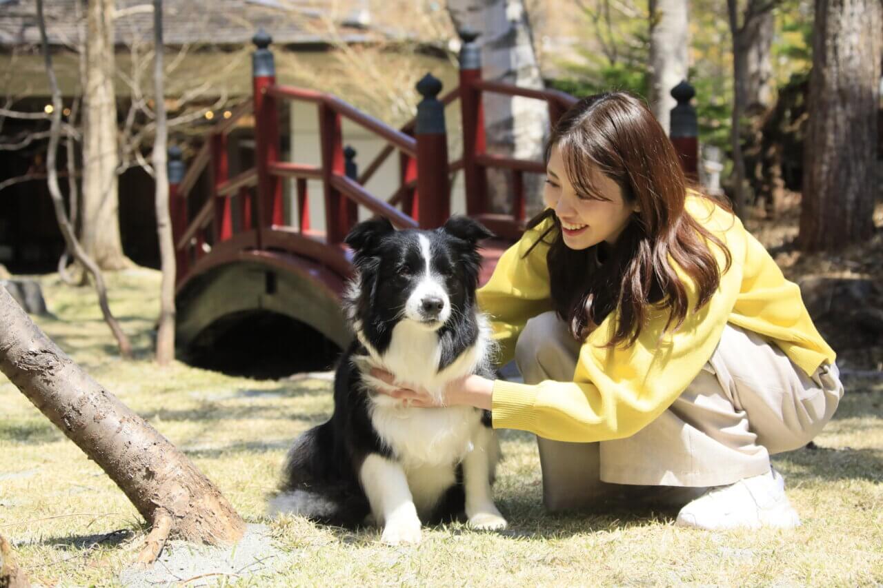 ゆるり奥日光withDOGS