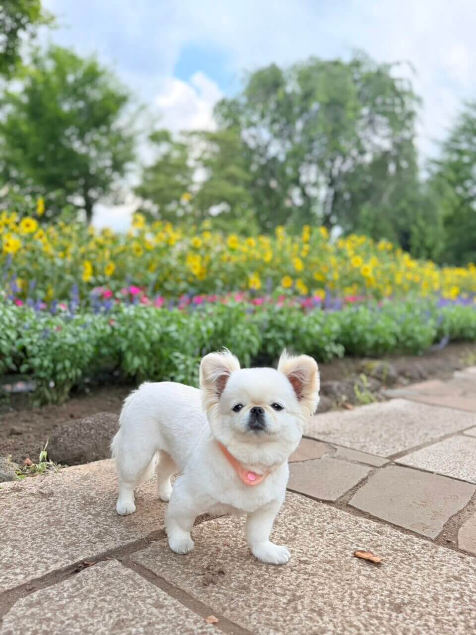 ハーブ庭園旅日記