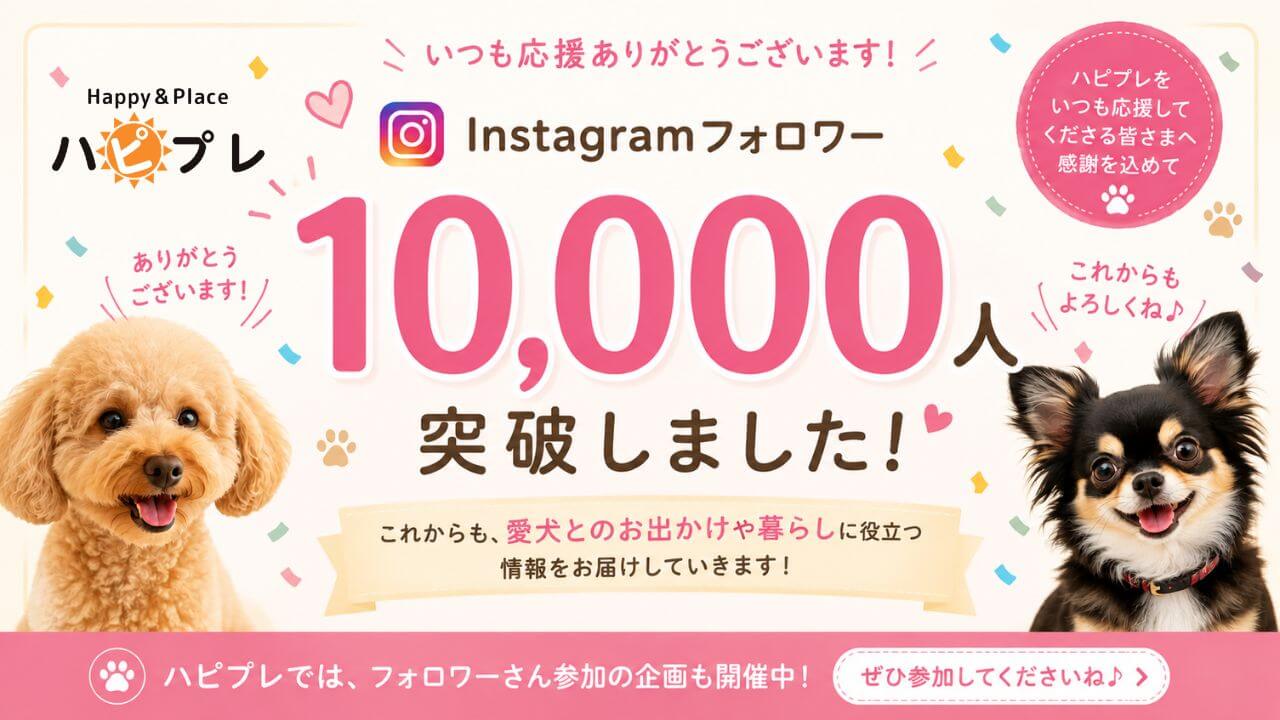 ハピプレインスタグラムフォロワーさん10,000人達成！