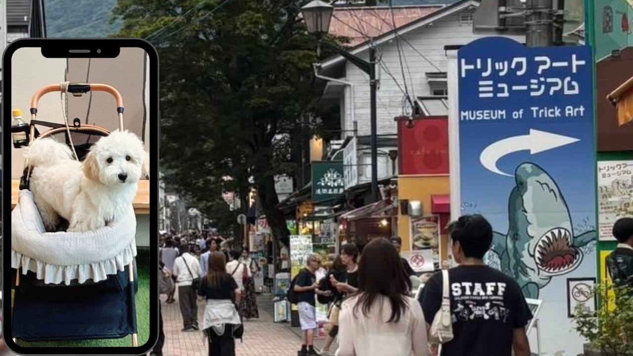 トリックアートミュージアム
