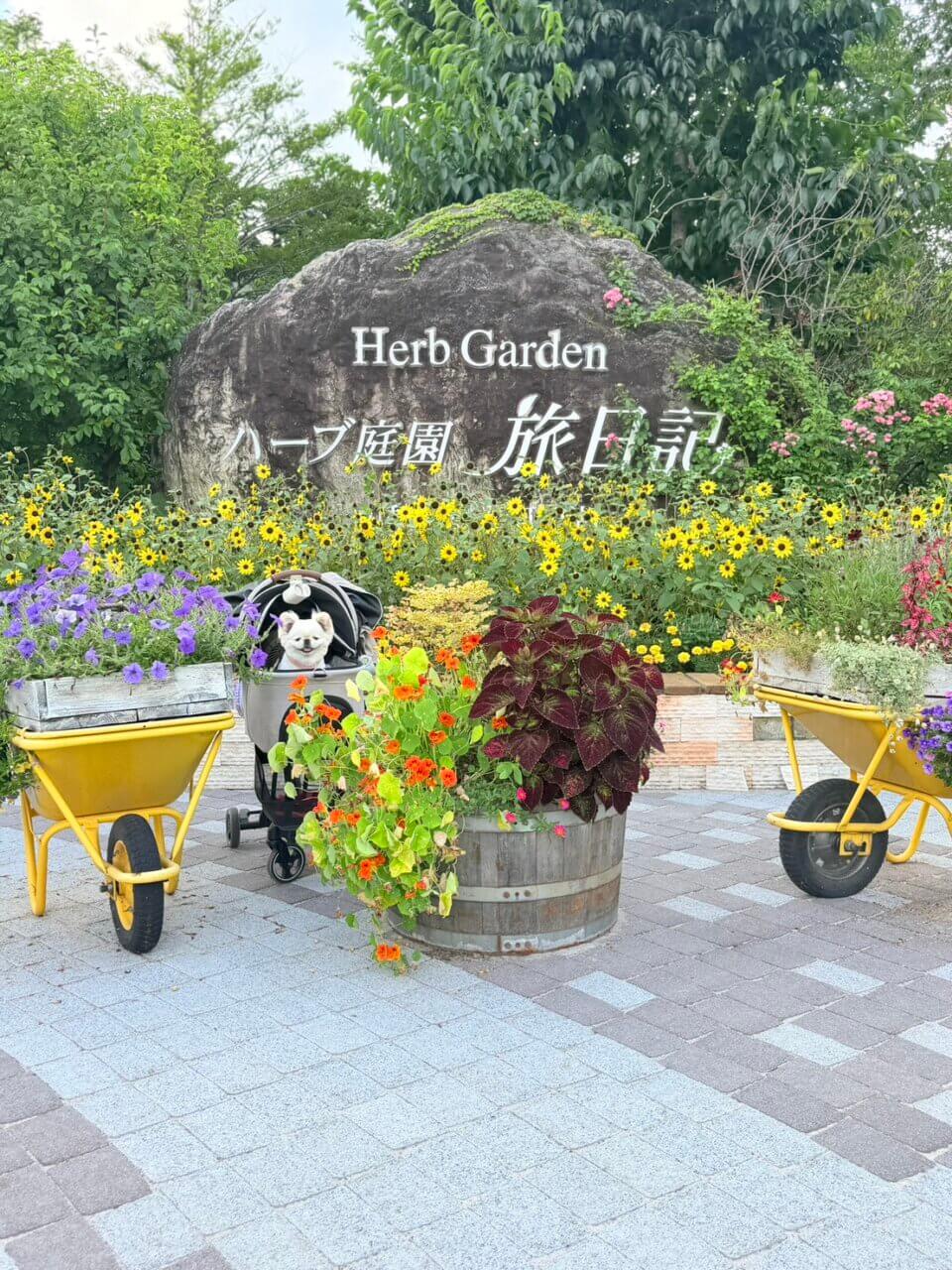 ハーブ庭園旅日記