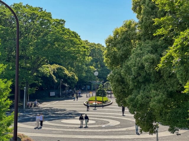 犬と代々木公園周辺でランチ