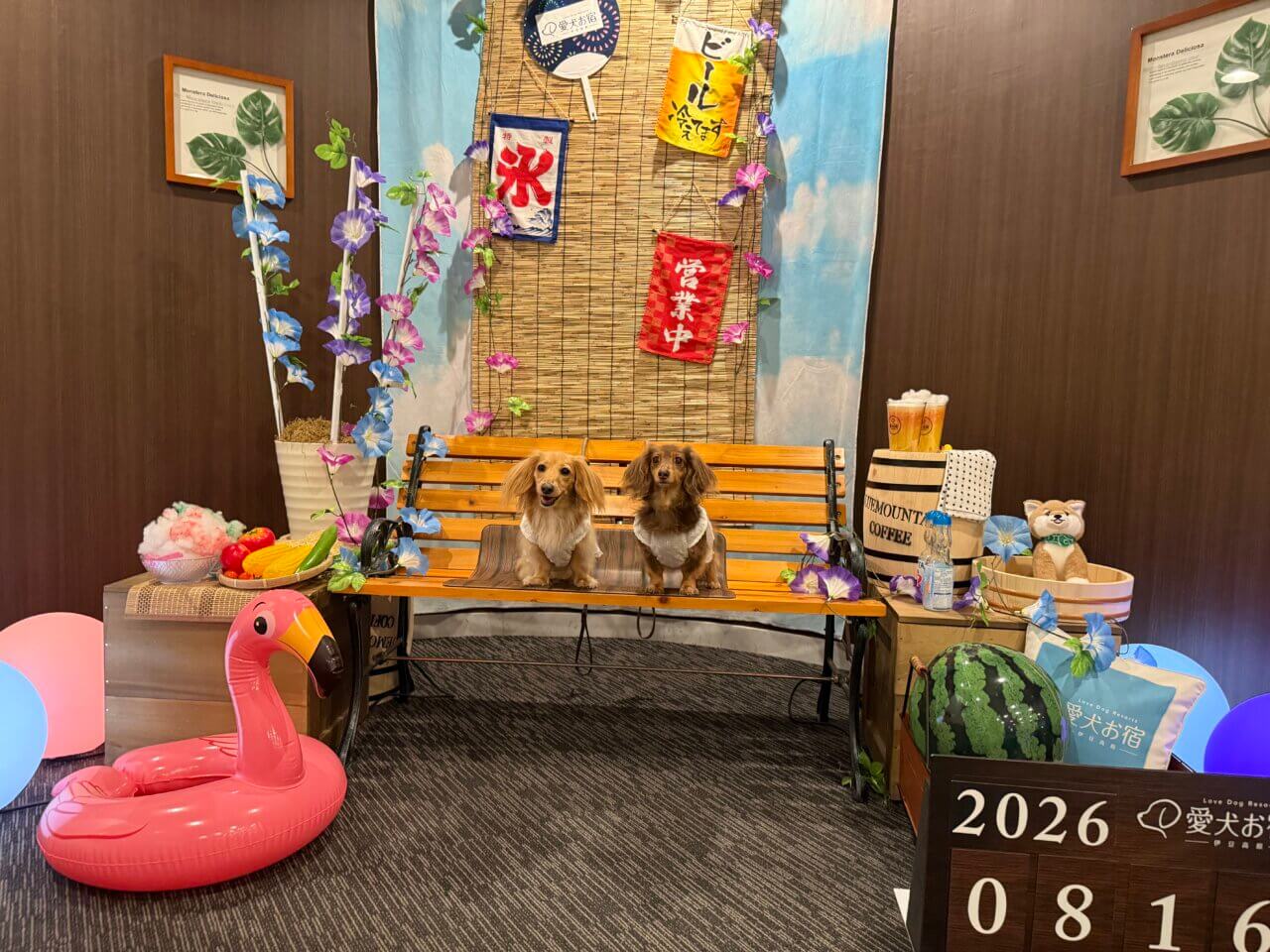 【静岡県・犬同伴OK】愛犬お宿 伊豆高原