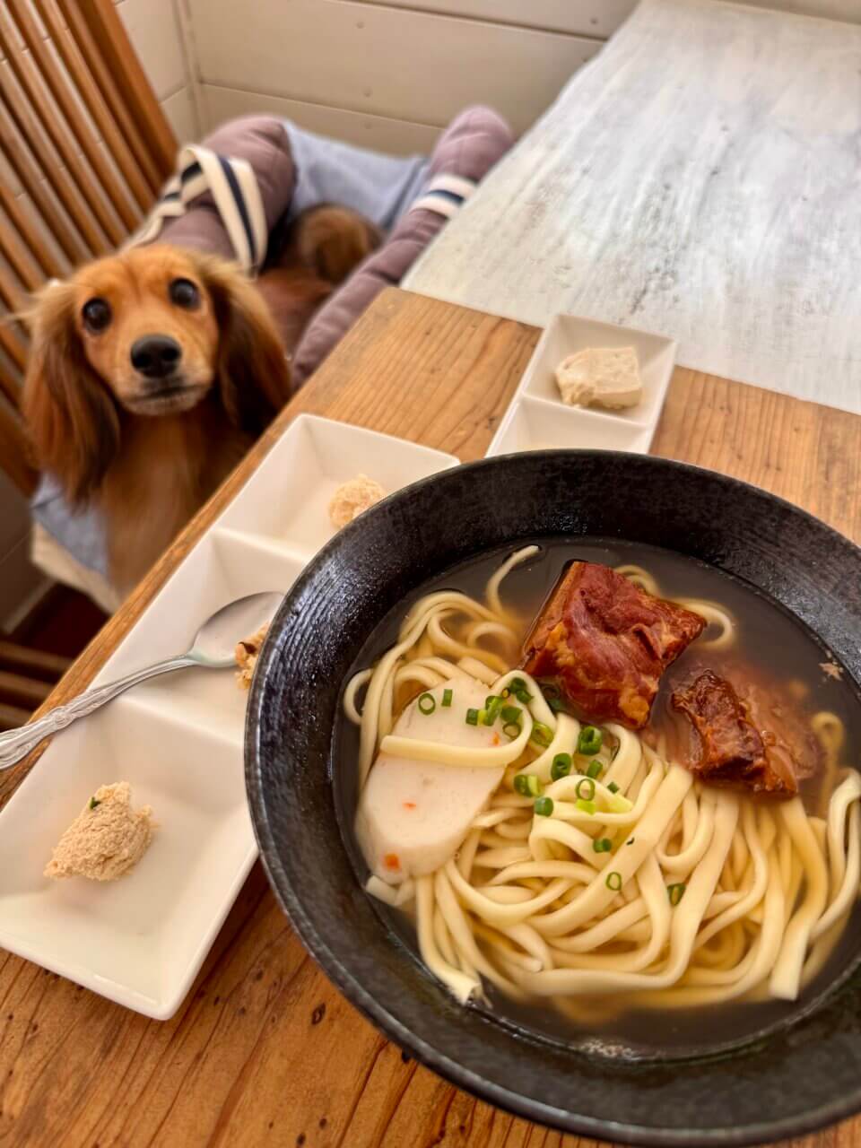 【沖縄県・犬同伴OK】沖縄そばと島どうふ【TOPU】