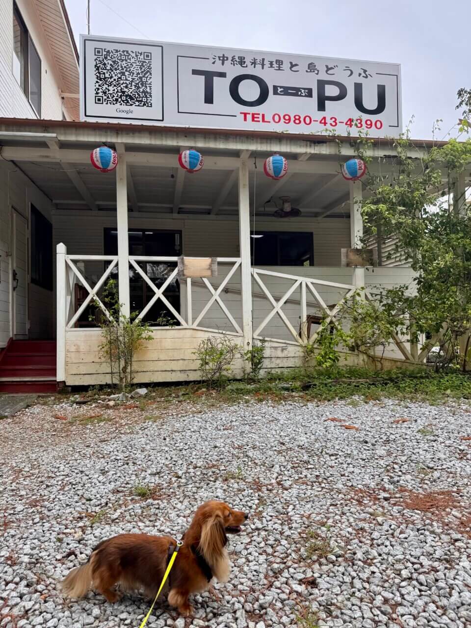 【沖縄県・犬同伴OK】沖縄そばと島どうふ【TOPU】
