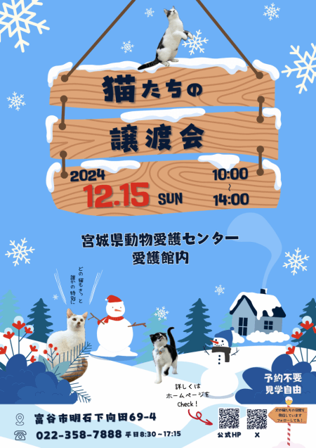 宮城県　猫たちの譲渡会